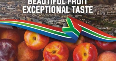 Season’s First South African Stone Fruits Arrive in India – A Feast of Freshness and Flavor