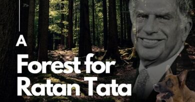 Citizens Can Write A Tribute To Create A Forest in the Memory of Industrialist Ratan Tata