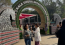 Milton Homewares Paid Tribute to Art, Culture and Sustainability at Kala Ghoda Arts Festival 2025