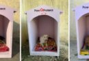 Mars Petcare and Swiggy Instamart Expand Efforts to Provide Winter Shelters for Community Dogs