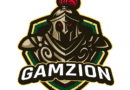 Gamzion to Launch NFTs and Tokens in 2026 After Multi-Million-Dollar Success Profit Sharing in Their Community
