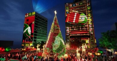 Hong Kong Transforms into a Winter Wonderland with Immersive Light Show—A Festive Escape for Indian Travellers