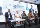 CII Summit Sounds Clarion Call for Dedicated Petfood Regulations, Standards, and Evidence-Based Nutrition