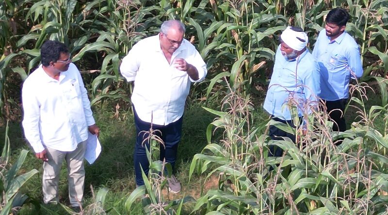 ICAR–IIMR and Gourmet Popcornica Collaboration Paves the Way for an Aatmanirbhar Popcorn Maize Ecosystem