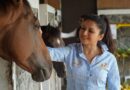 Bollywood Star Bhagyashree Supports World Animal Protection's Call to End Elephant Rides at Amer Fort in Jaipur