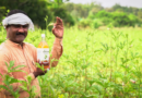 From Soil Crisis to Sustainable Growth: JagPaavani by Sri Sri Naisargik, Fuels Nature-Led Farming for Tomorrow's Harvests